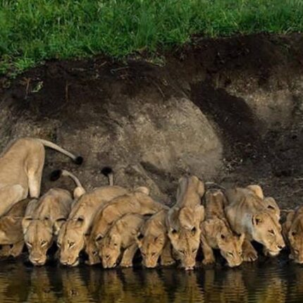 Arusha National Park