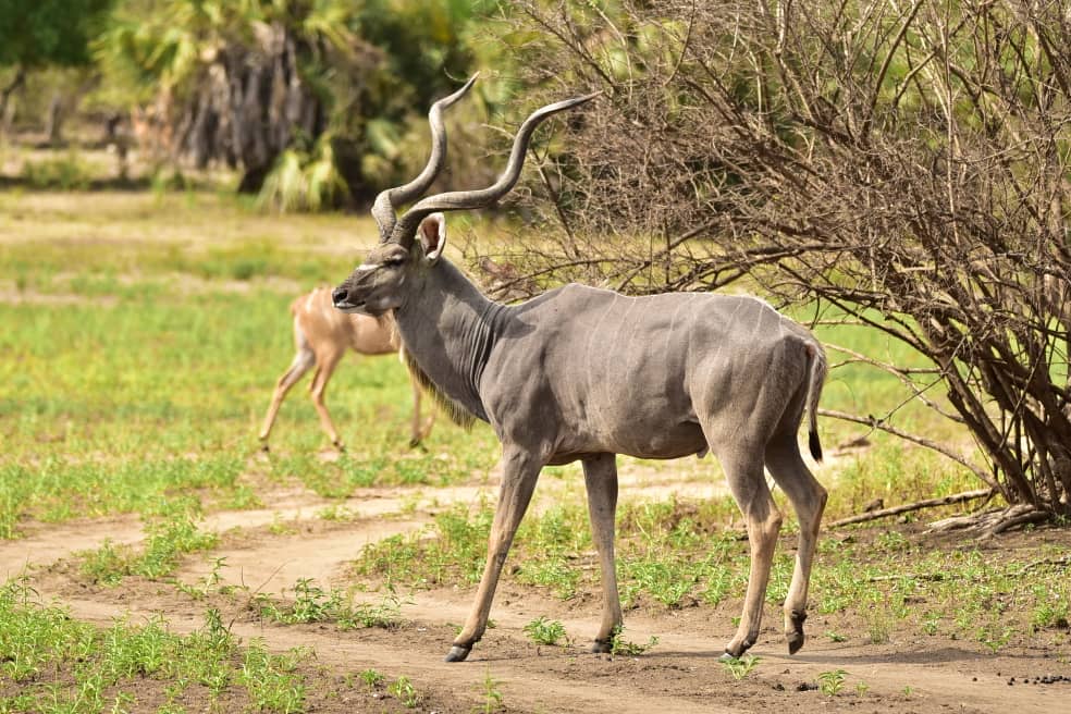 Ibanda-Kyerwa National Park