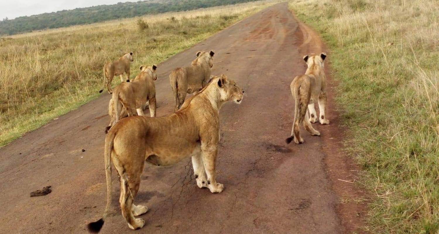 Kidepo Valley national Park 