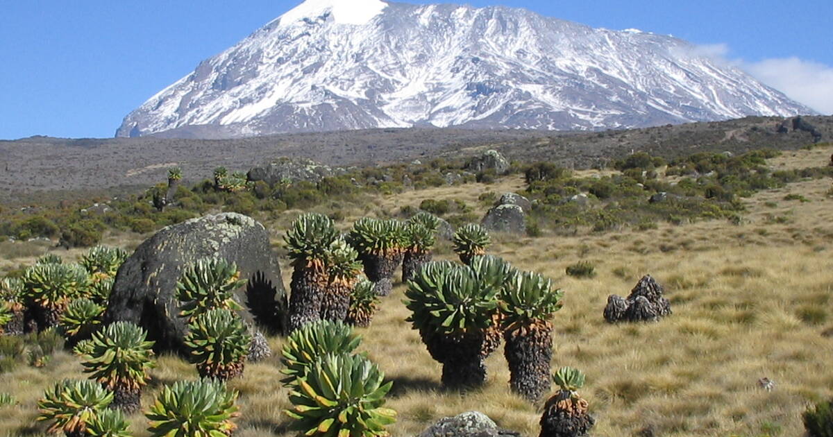 Kilimanjaro National Park