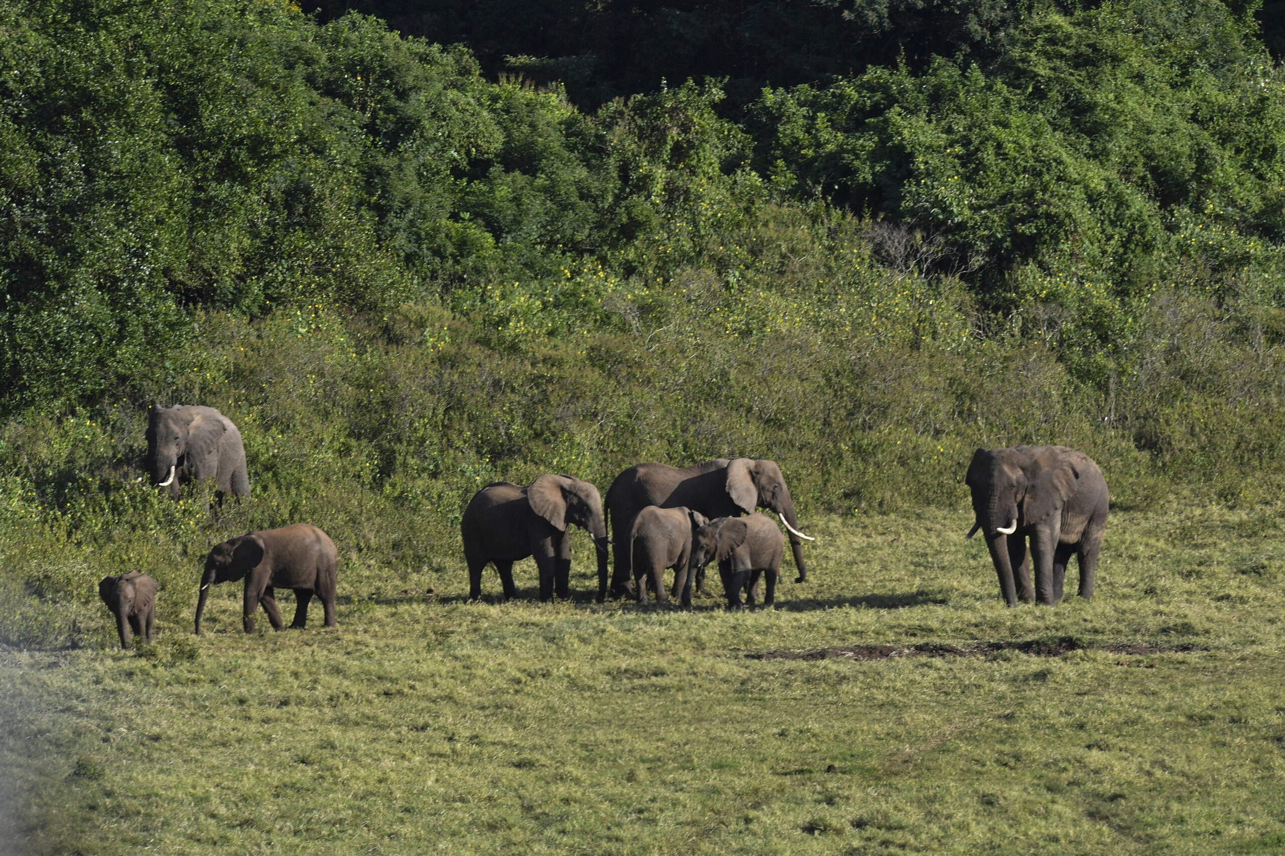 Marsabit National Park