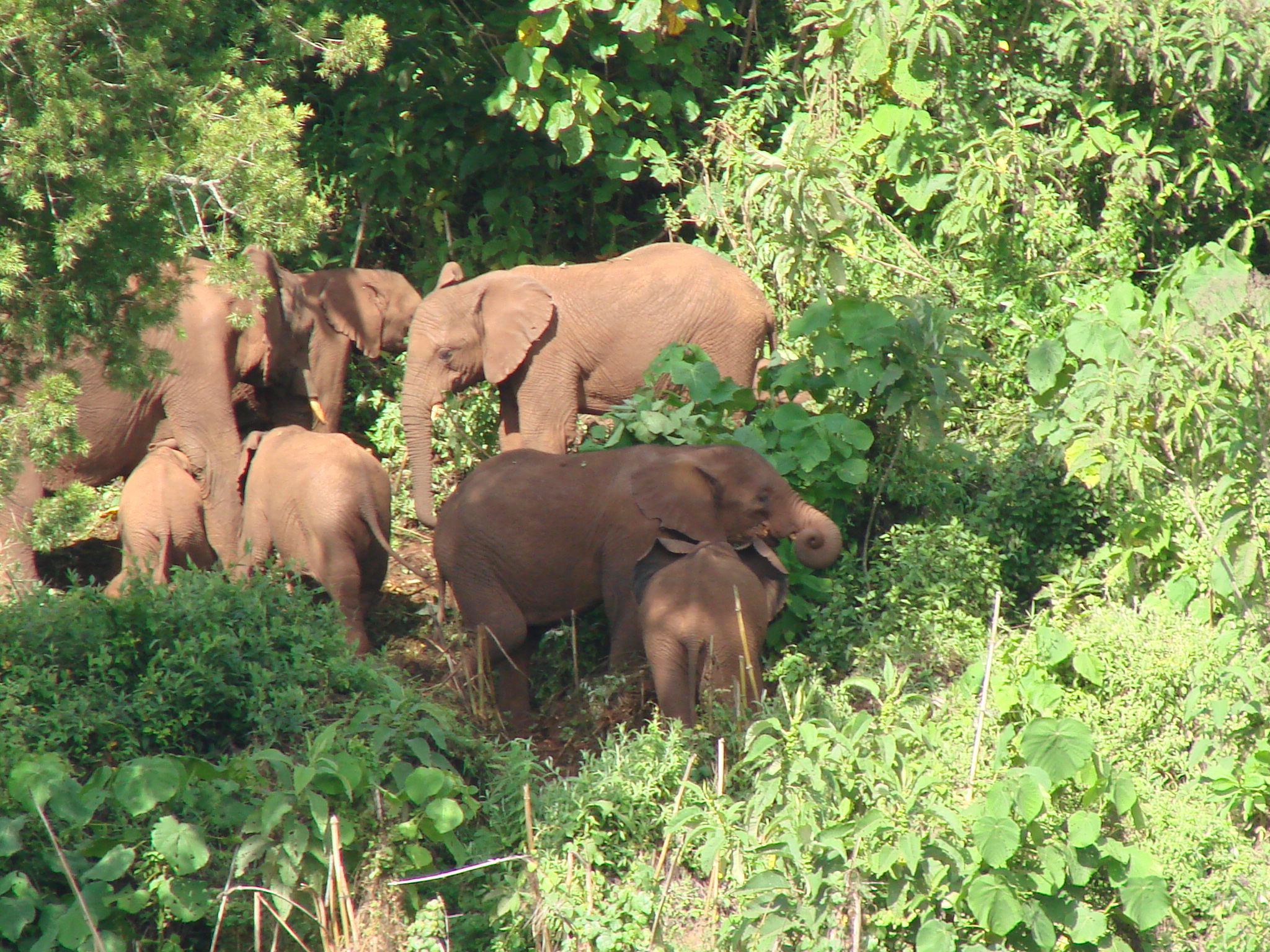 Mount Elgon National Park-Kenya