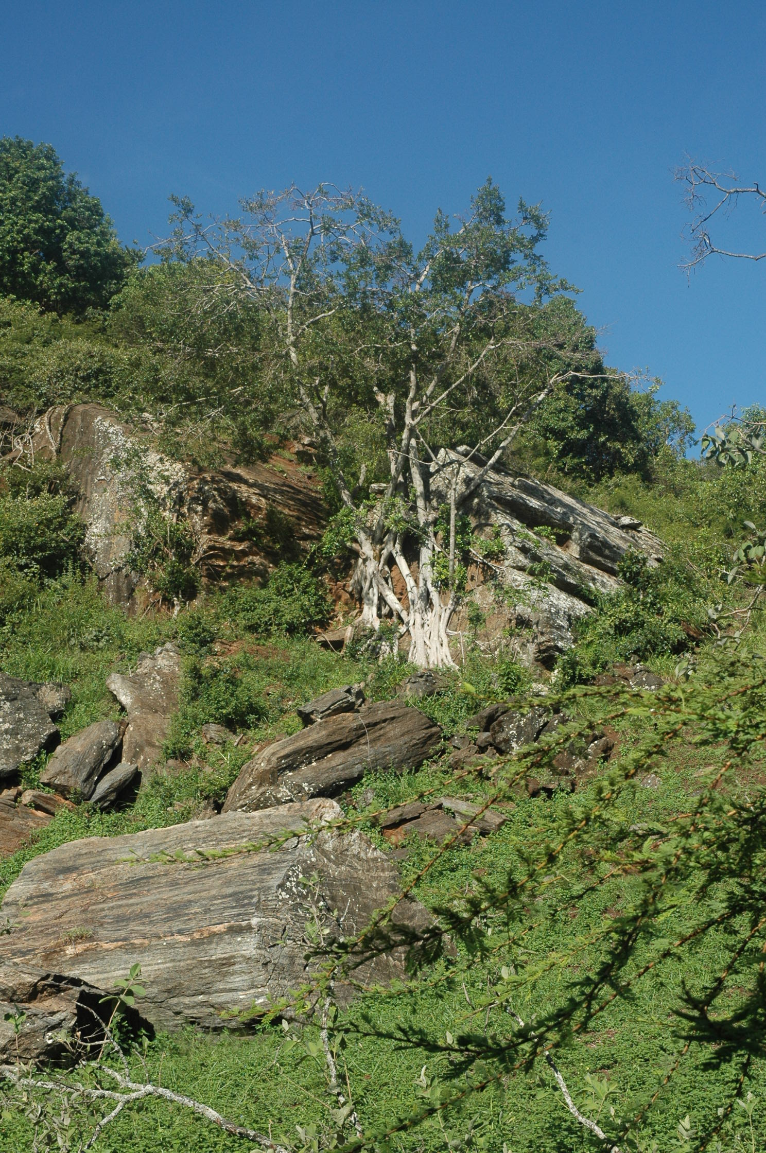 Ol Donyo Sabuk National Park