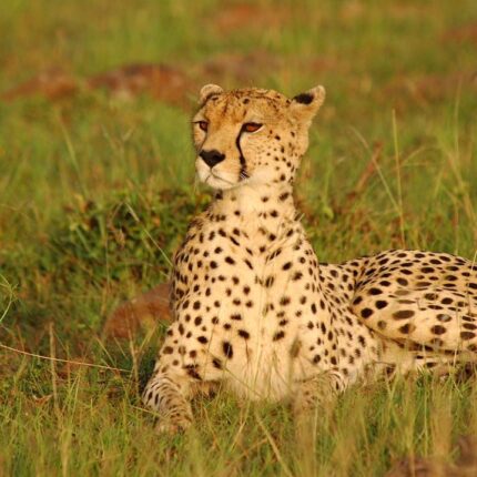 Rumanyika-Karagwe National Park