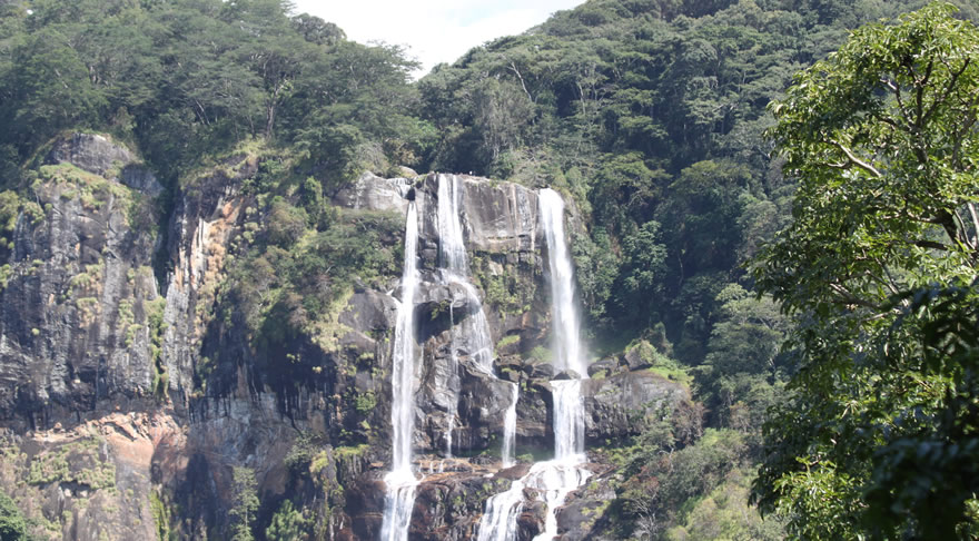 Udzungwa Mountains National Park