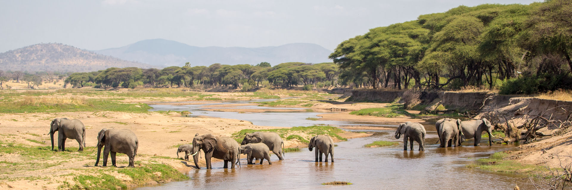 3 Days Fly In Safari To Ruaha National Park