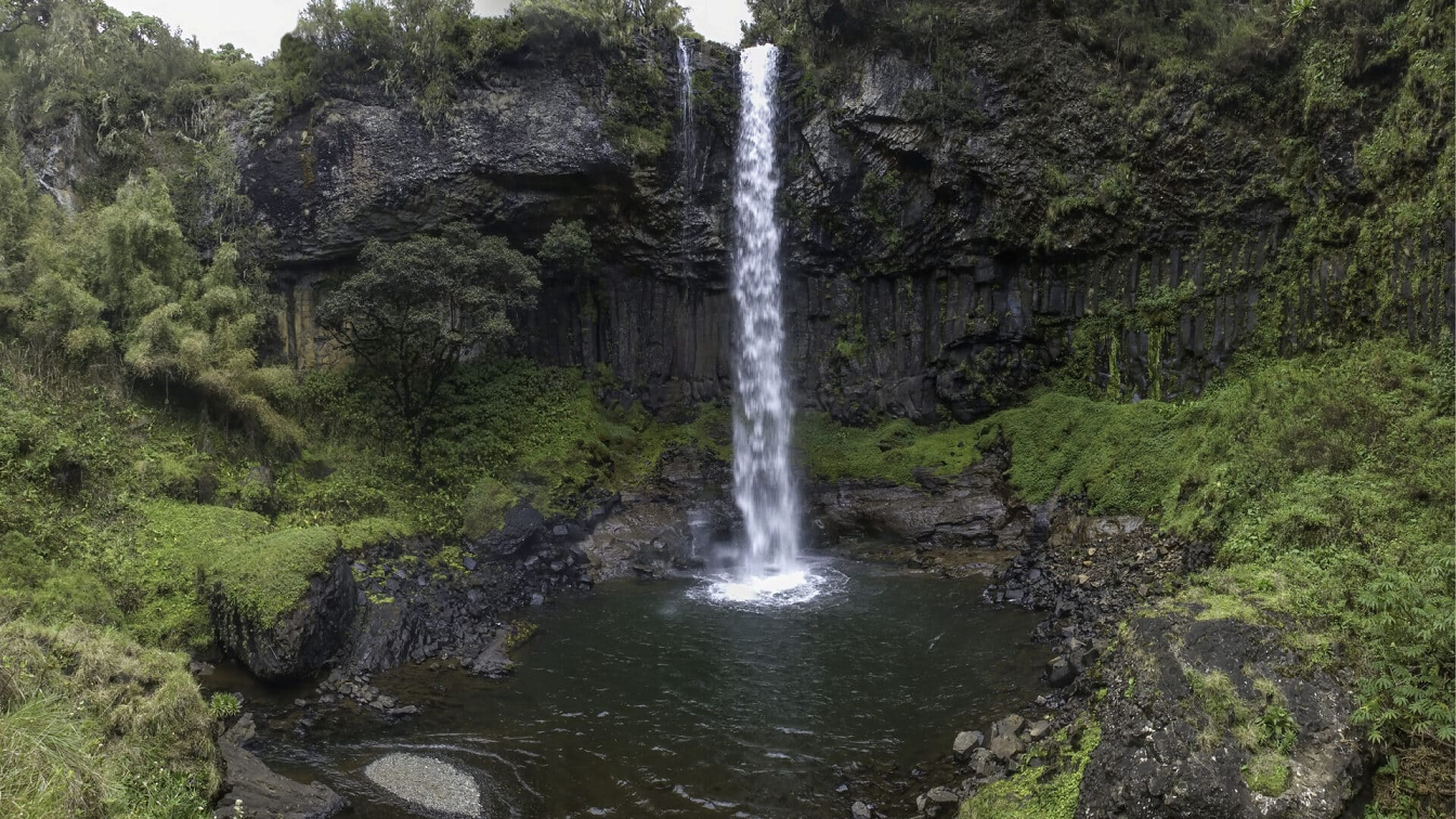 Aberdare National Park