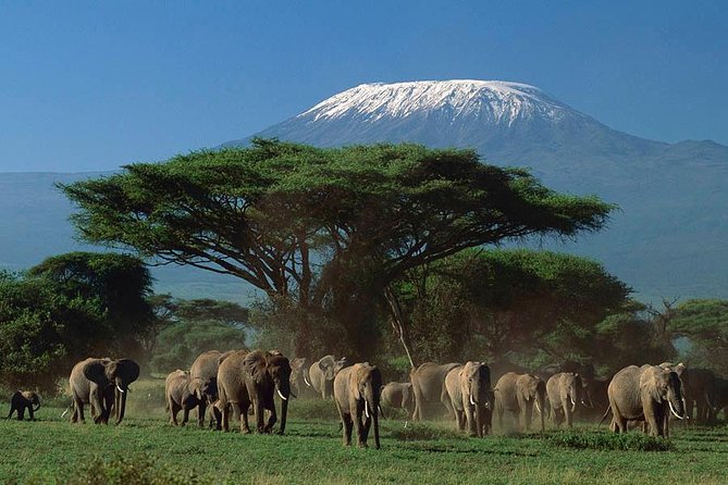 Amboseli National Park