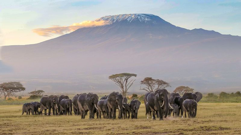 guide to hiking mountain Kilimanjaro 