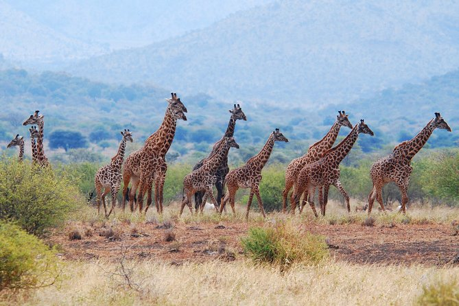 Arusha national park 