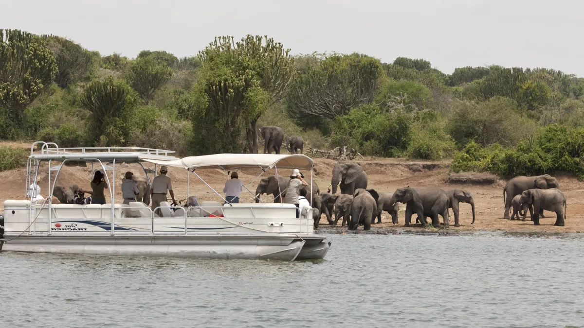 Boat cruise safaris