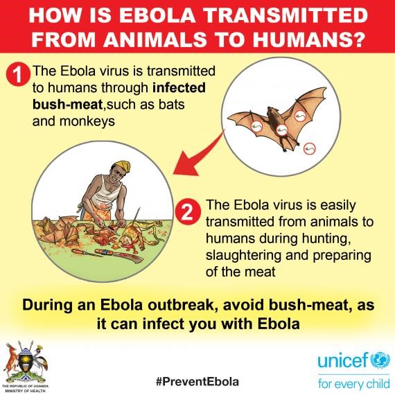 Ebola Virus Disease (EVD)