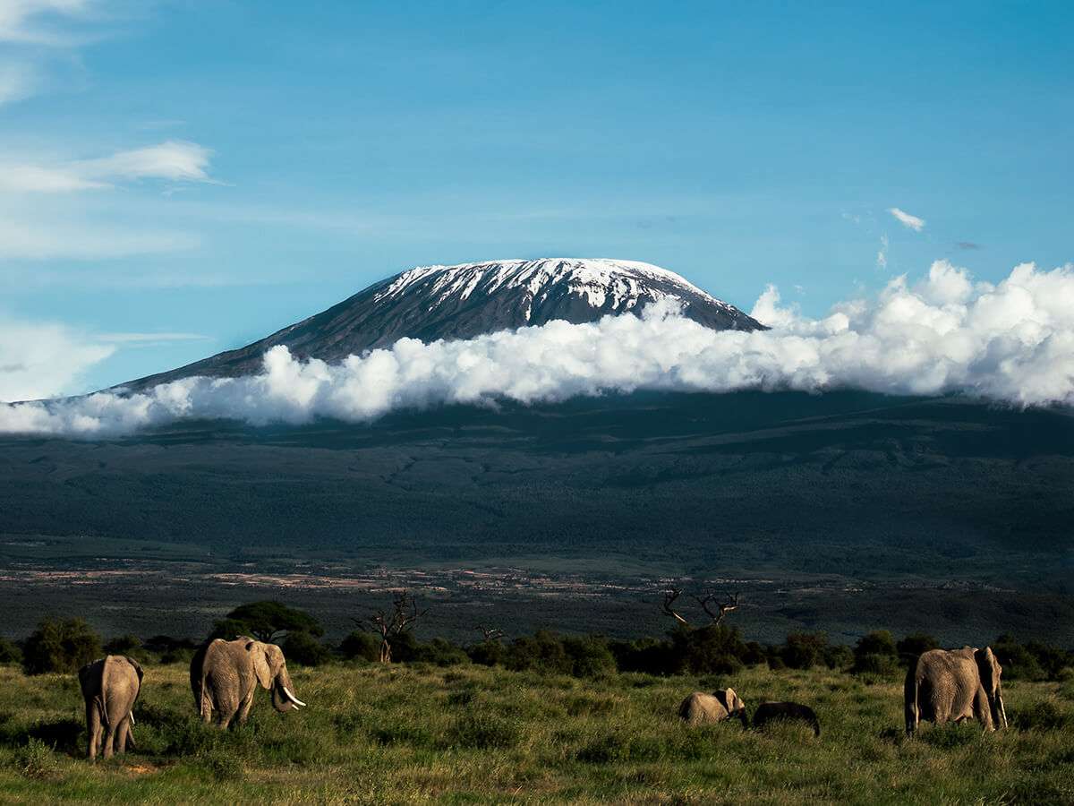 5 days Kilimanjaro Hike