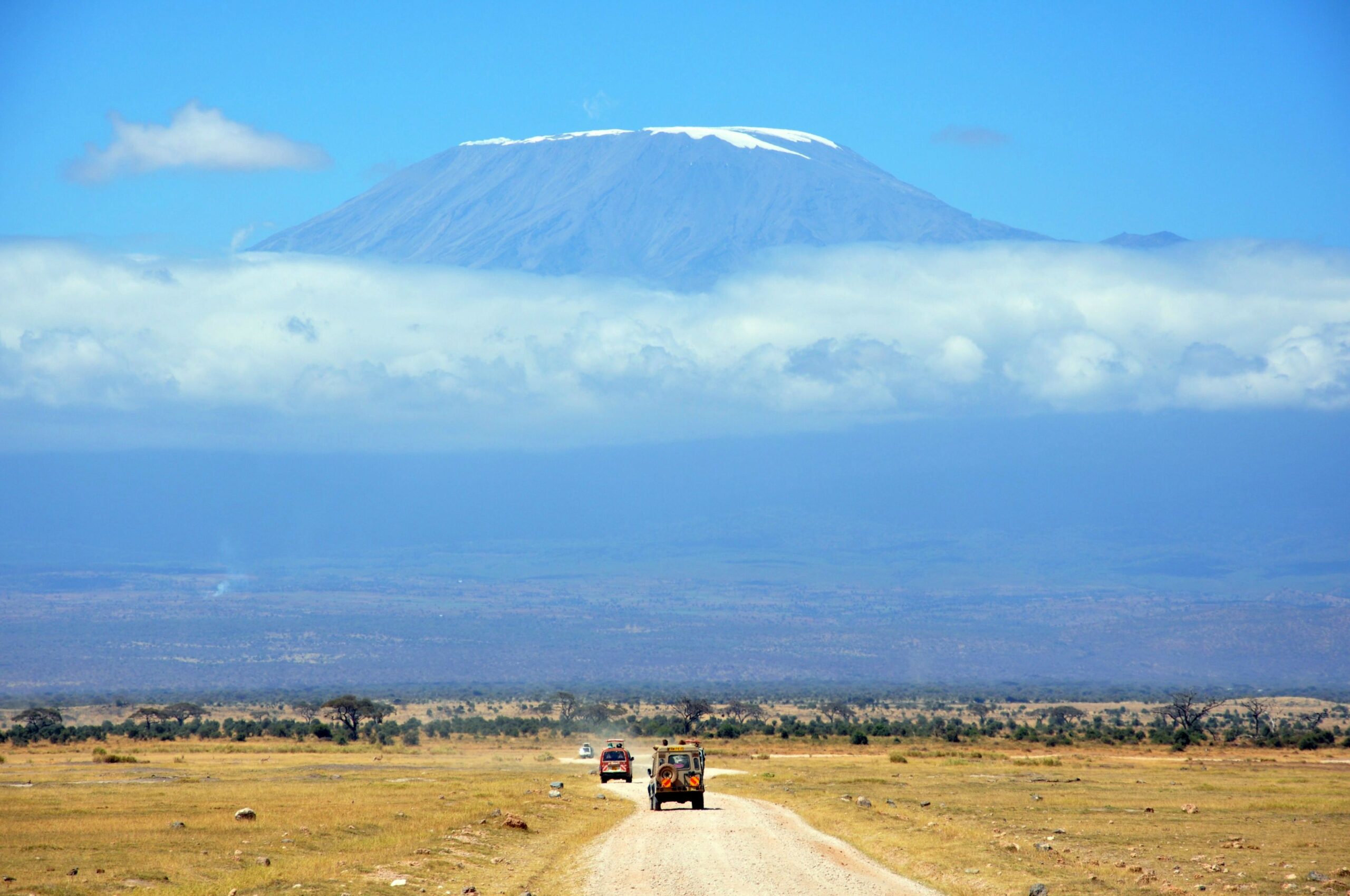 8-Day Kilimanjaro Trekking