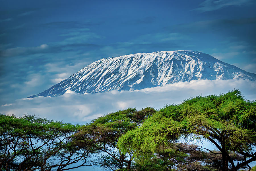 8-Day Mount Kilimanjaro