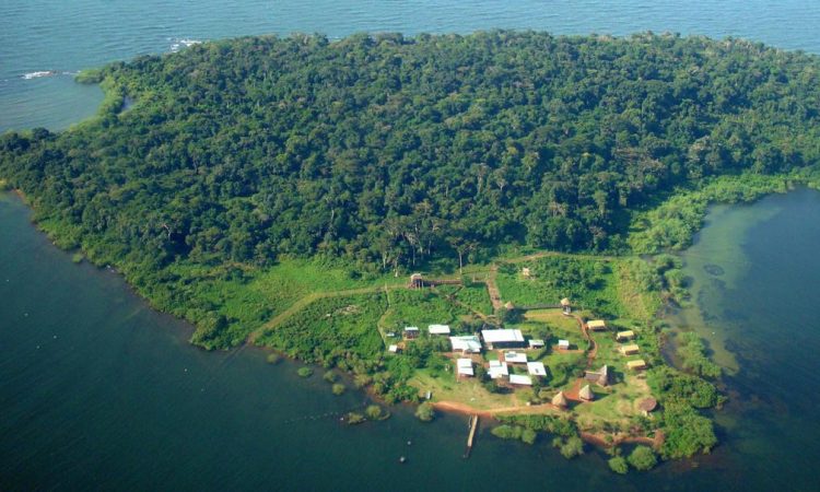 Ngamba Island