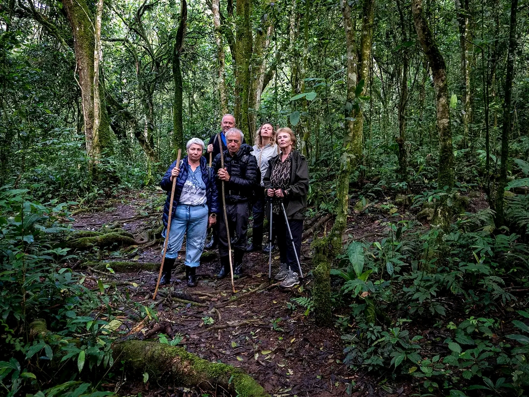 3 DAYS GORILLA TREKKING IN CONGO 3 DAYS GORILLA TREKKING IN CONGO
