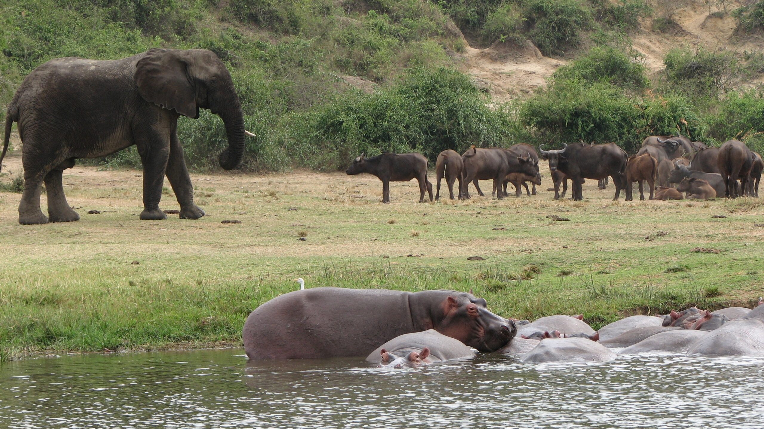 Queen Elizabeth National Park