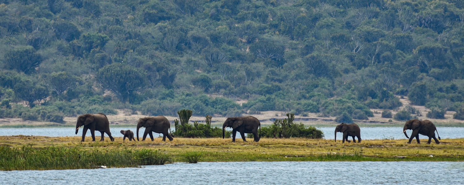 Queen Elizabeth National Park