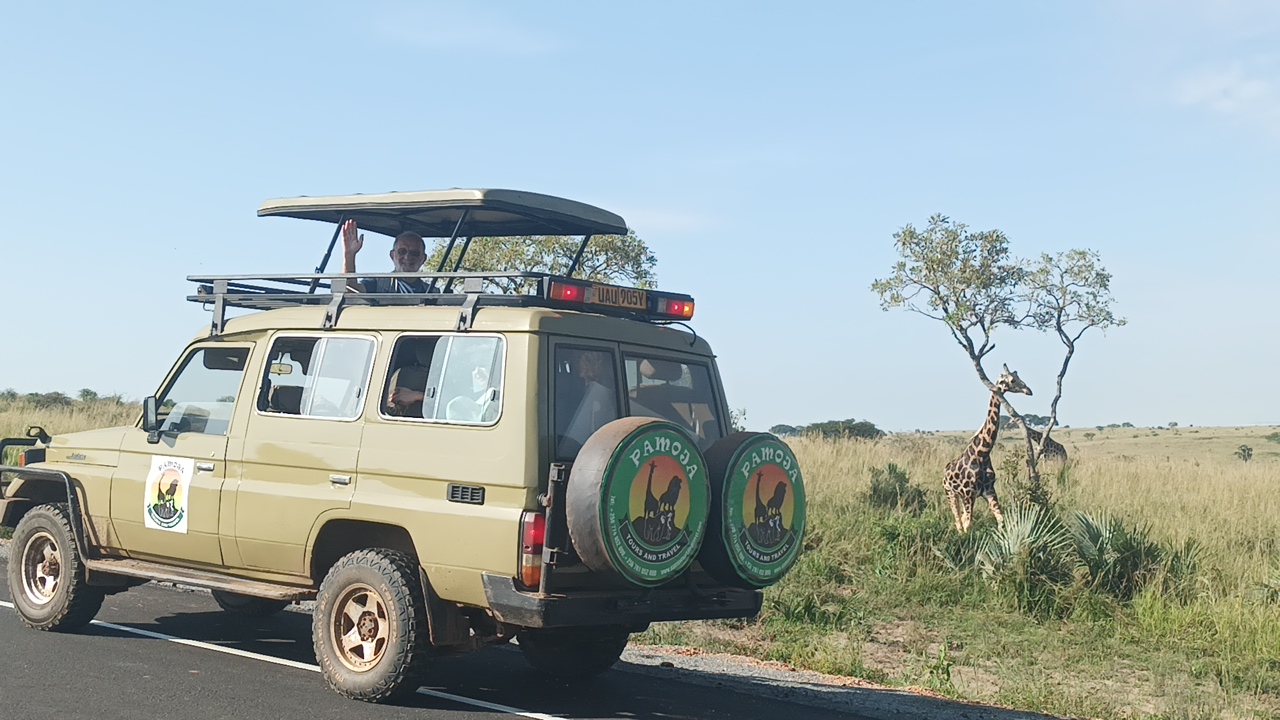 Game Drives in Uganda