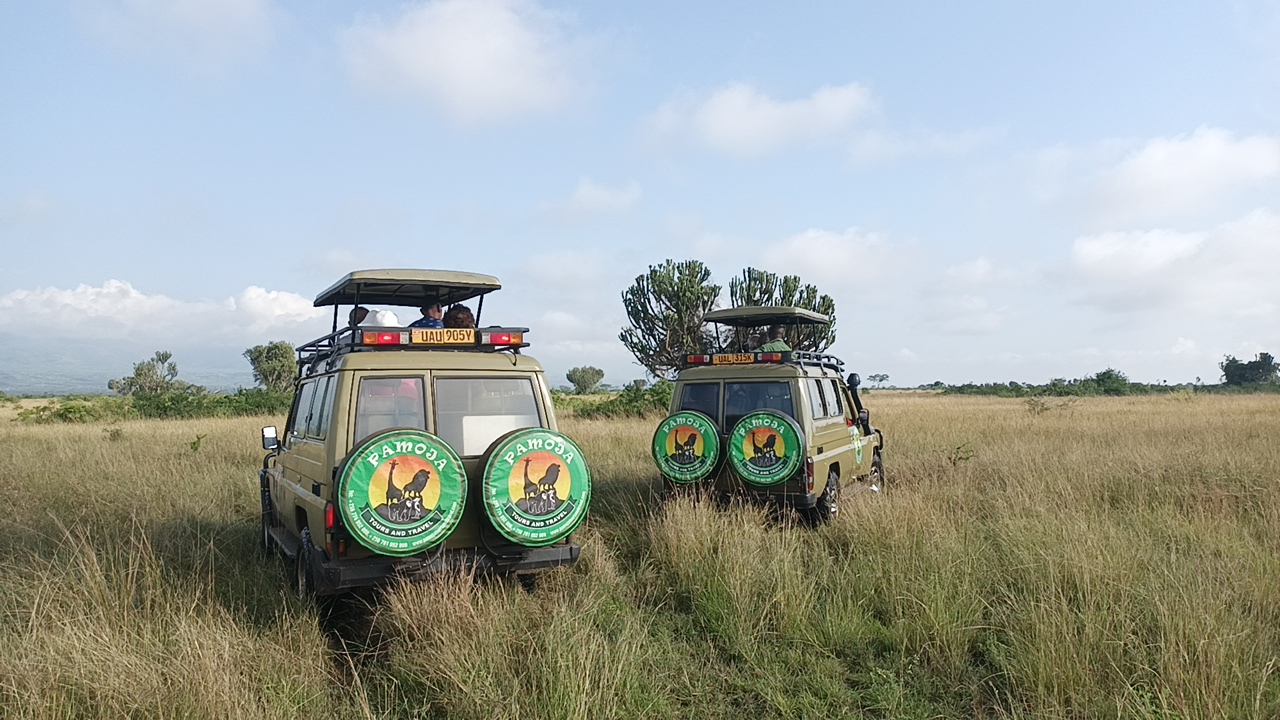 Game Drives in Uganda