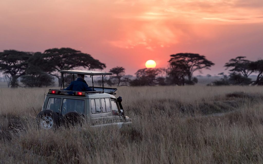 Game Drives in Uganda