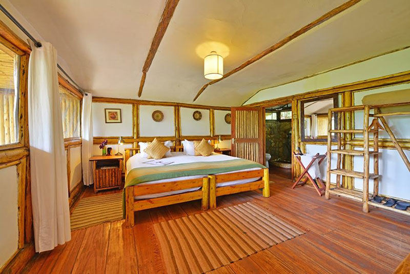 Luxury accommodation in Bwindi Impenetrable Forest- Gorilla Trekking Uganda Safari