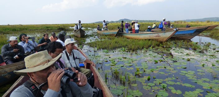 Mabamba swamp in Entebbe, Birding experience Mabamba swamp