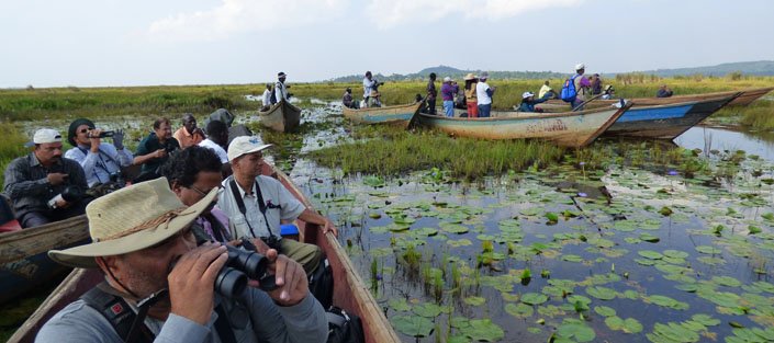 Mabamba swamp