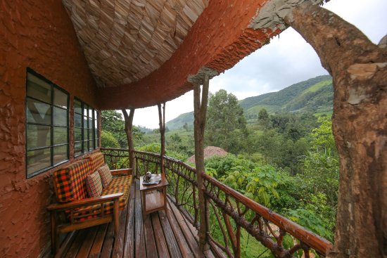 Luxury accommodation in Bwindi Impenetrable Forest- Gorilla Trekking Uganda Safari