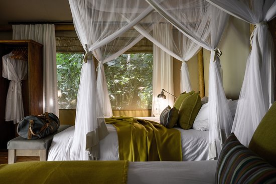 Luxury accommodation in Bwindi Impenetrable Forest- Gorilla Trekking Uganda Safari