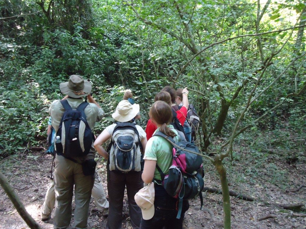 Walking safaris in Uganda- Nature walk safaris in East Africa