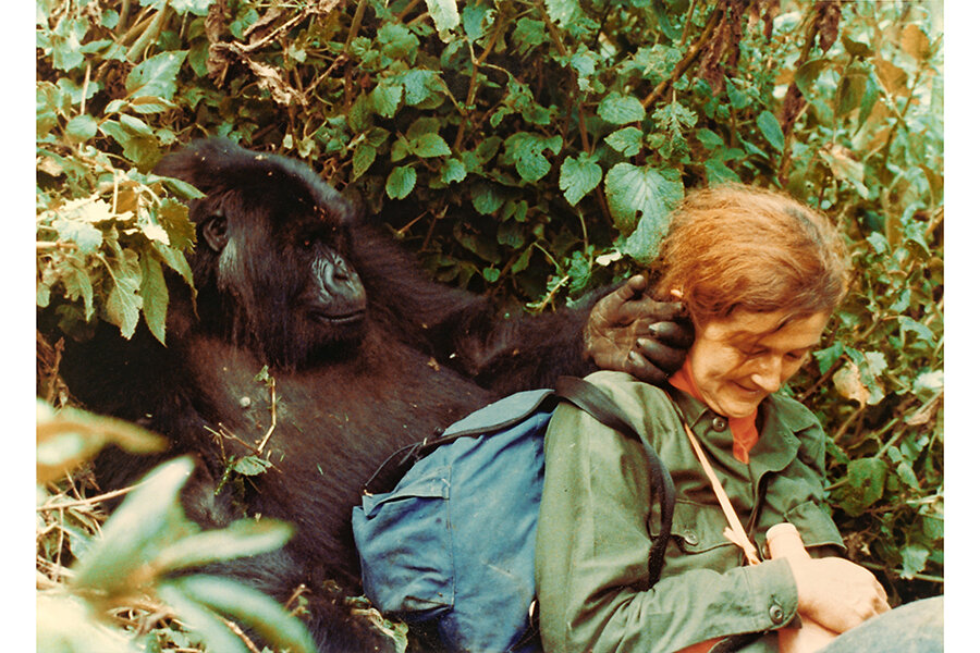 dian fossey