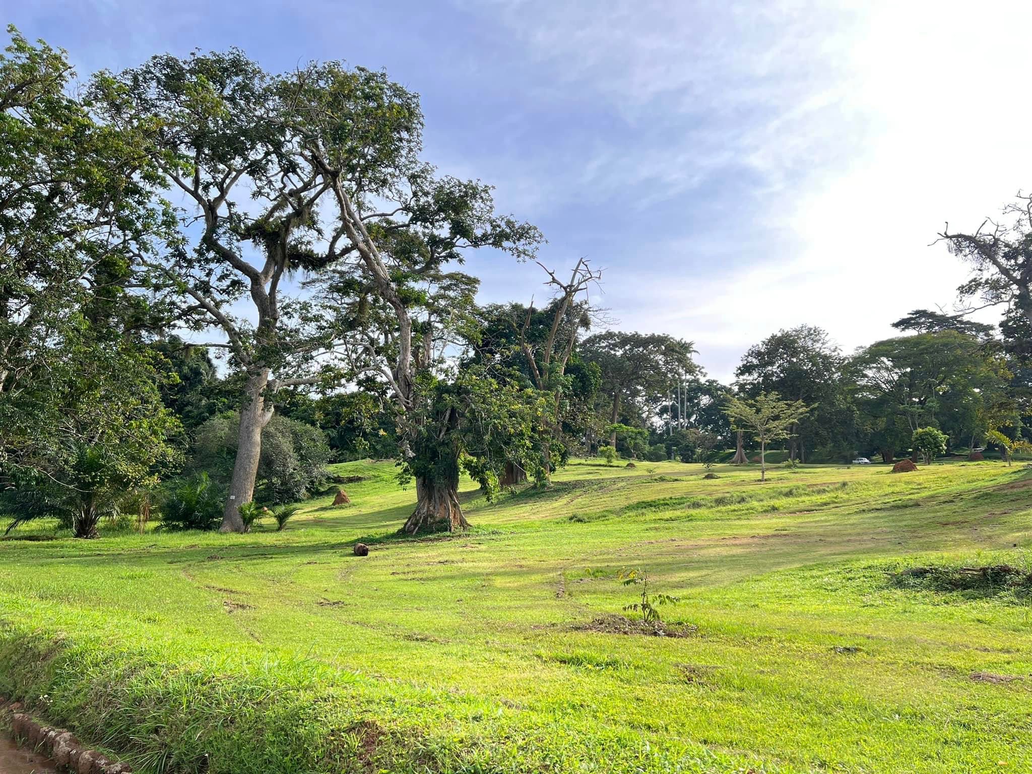 Entebbe Botanical Gardens