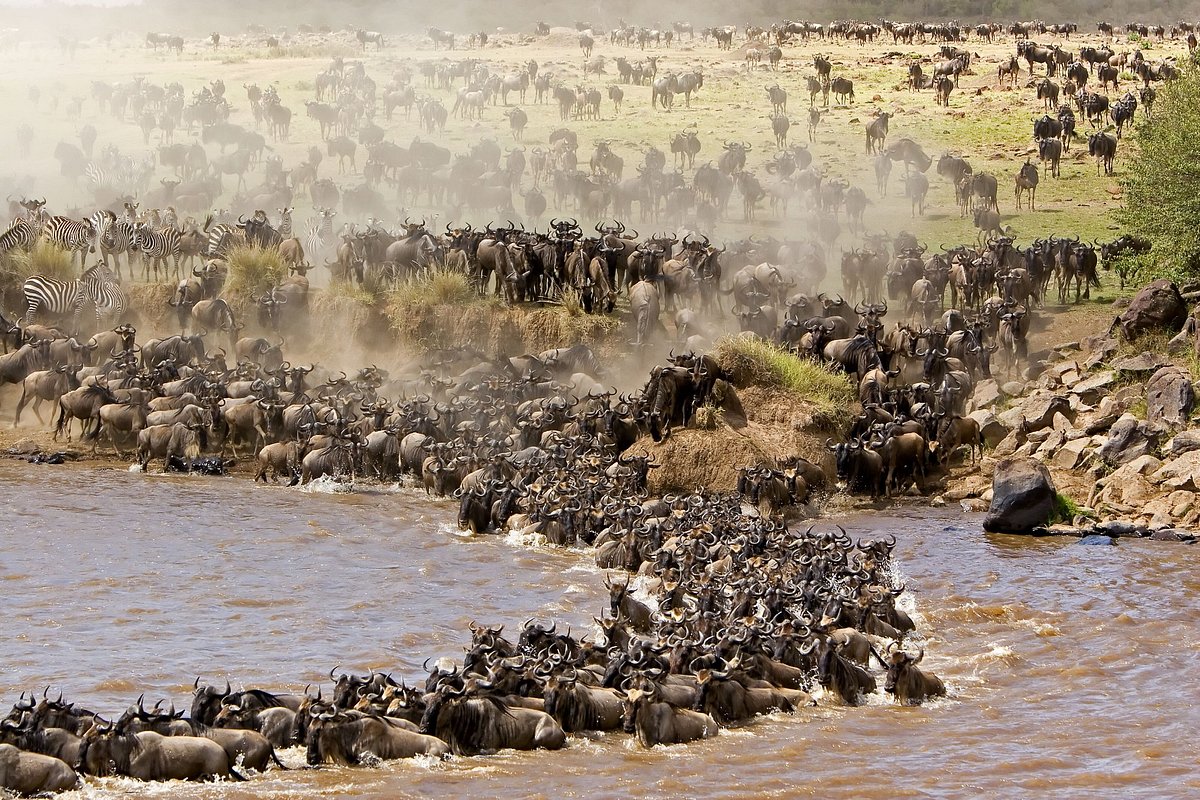 The Great Mara River