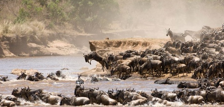 The Great Mara River