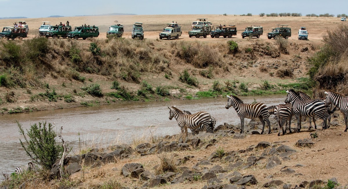 Safari in Africa | Tanzania safari | Maasai Mara Safari in Kenya | Ngorongoro Crater safari