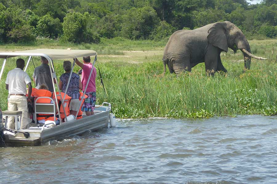Tips for Ultimate Luxury Safari Experience in Uganda