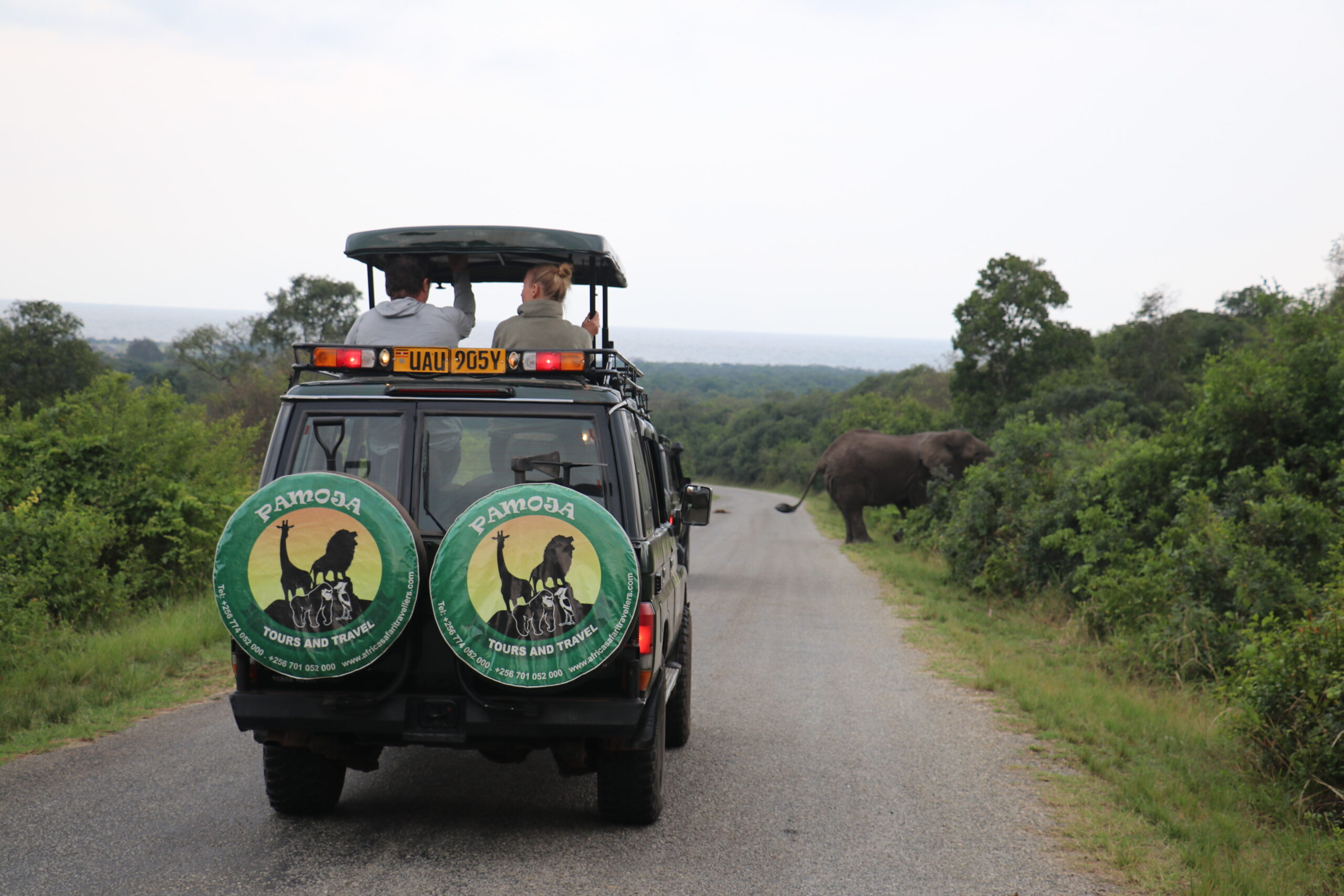 8-Day Uganda Gorillas Chimps and Wildlife Luxury Safari