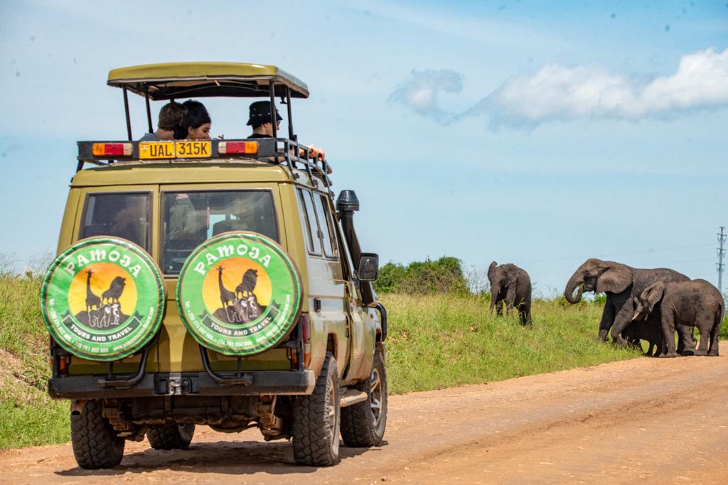 8-Day Uganda Gorillas Chimps and Wildlife Luxury Safari