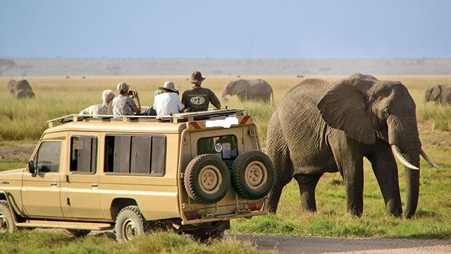 Unveiling the Majesty of Serengeti National Park in July