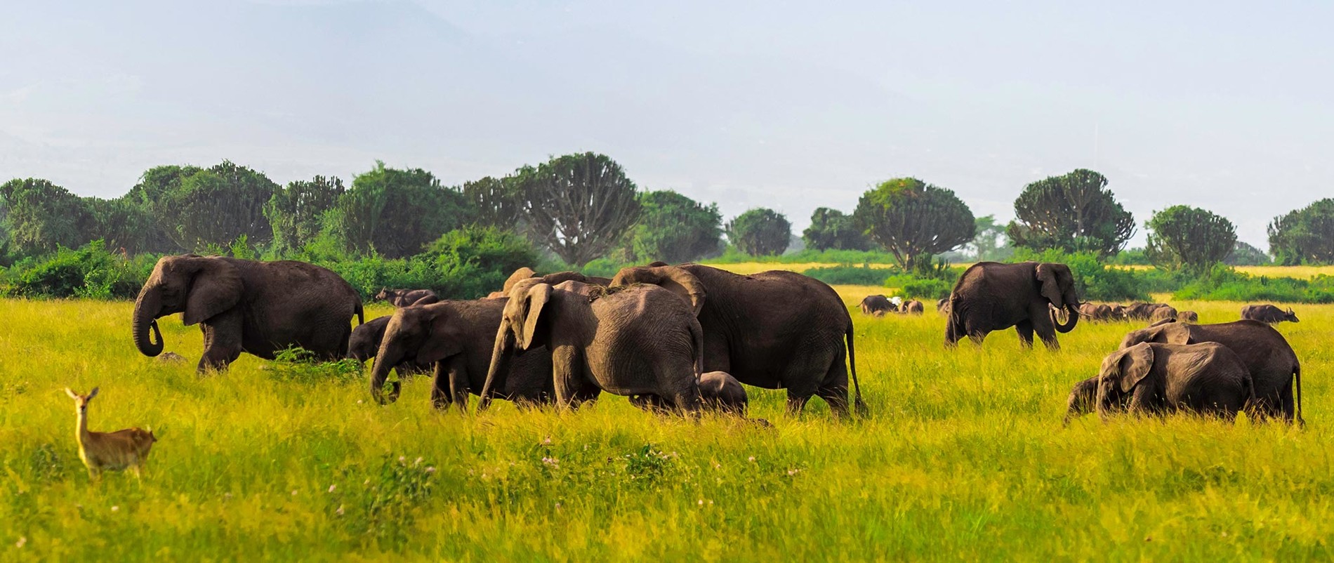 Uganda Safari Climate Guide and Packing Tips.
