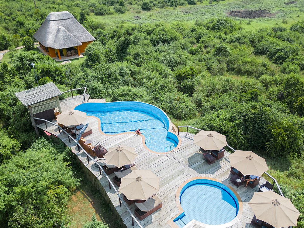 Buffalo Safari Lodge